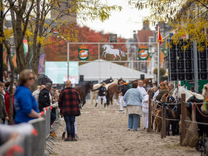 Paardenmarkt 2025